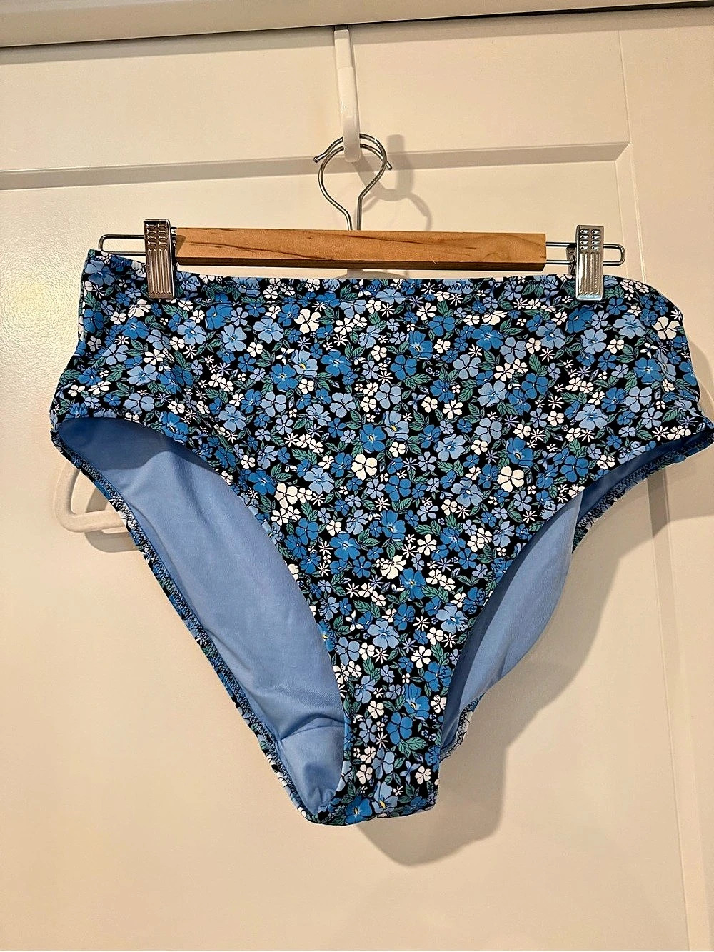 Panache Posey Bikini Bottoms in Blue Like New